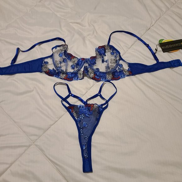 Embroidered Sheer Bra Set! - Picture 2 of 4